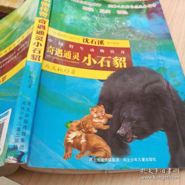 中国野生动物传奇 奇遇通灵 小石貂