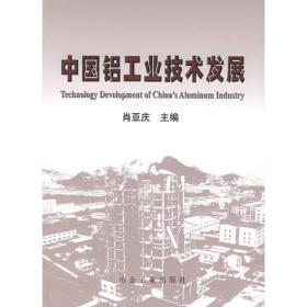 中国铝工业技术发展肖亚庆