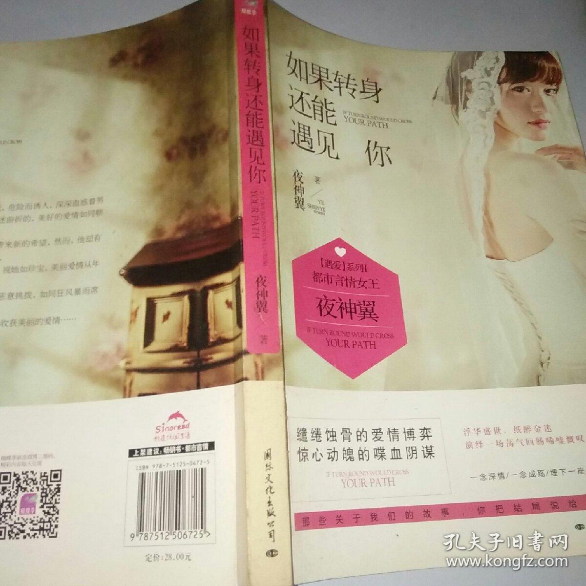 如果转身还能遇见你:盛大文学大神级作家,磨练了5年的作品终于出版了.