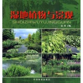 【正版新书】湿地植物与景观