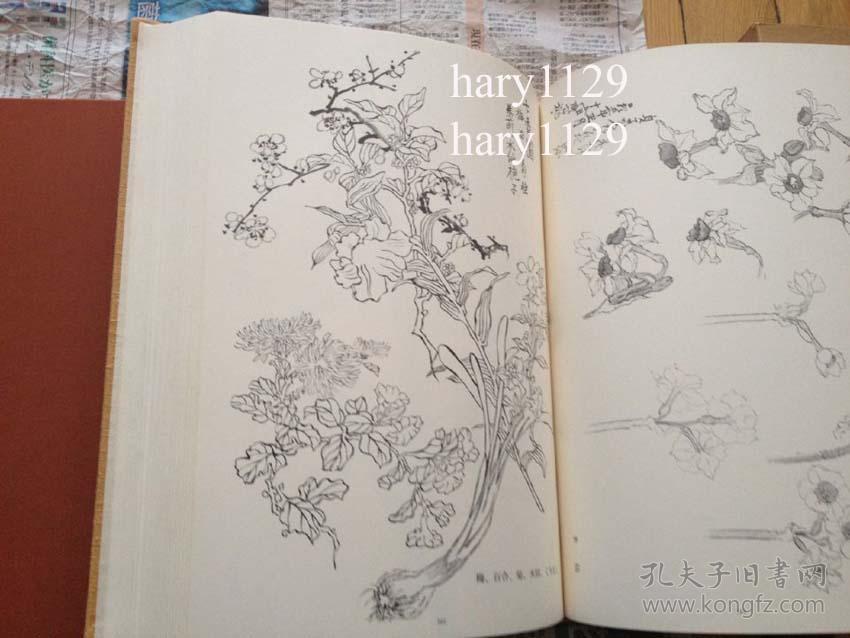 草花谱人间国宝三代田畑喜八精装本草花谱
