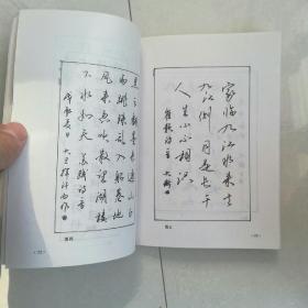 钢笔书法技巧成语字帖刘大卫钢笔字帖