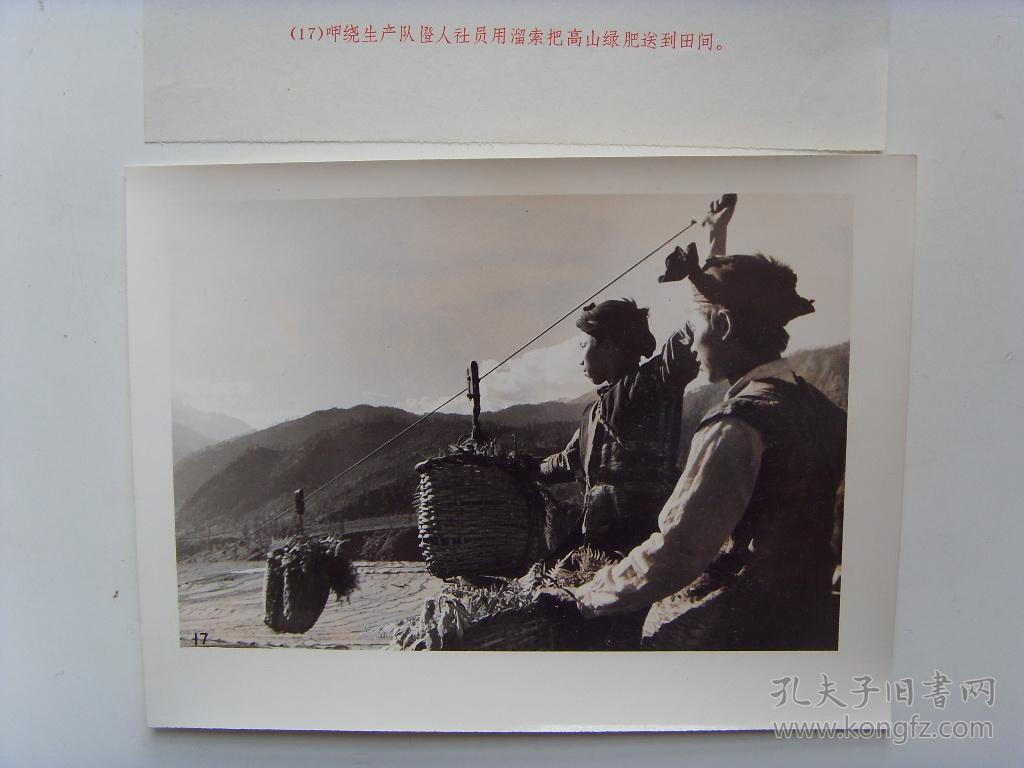 老照片:【※1972年 中国人口最少的民族--僜人,用溜索