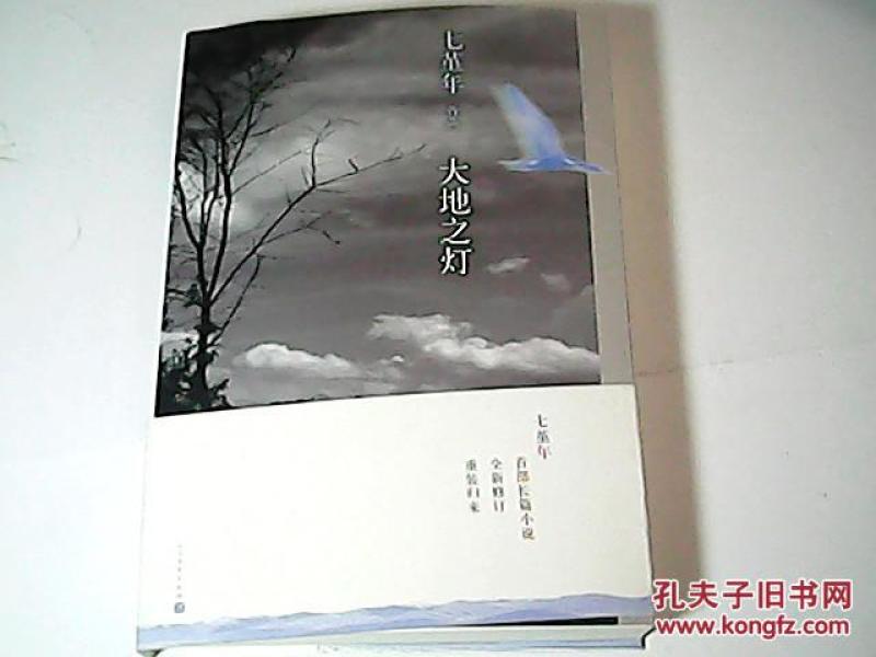 七堇年作品:大地之灯_七堇年 著_孔夫子