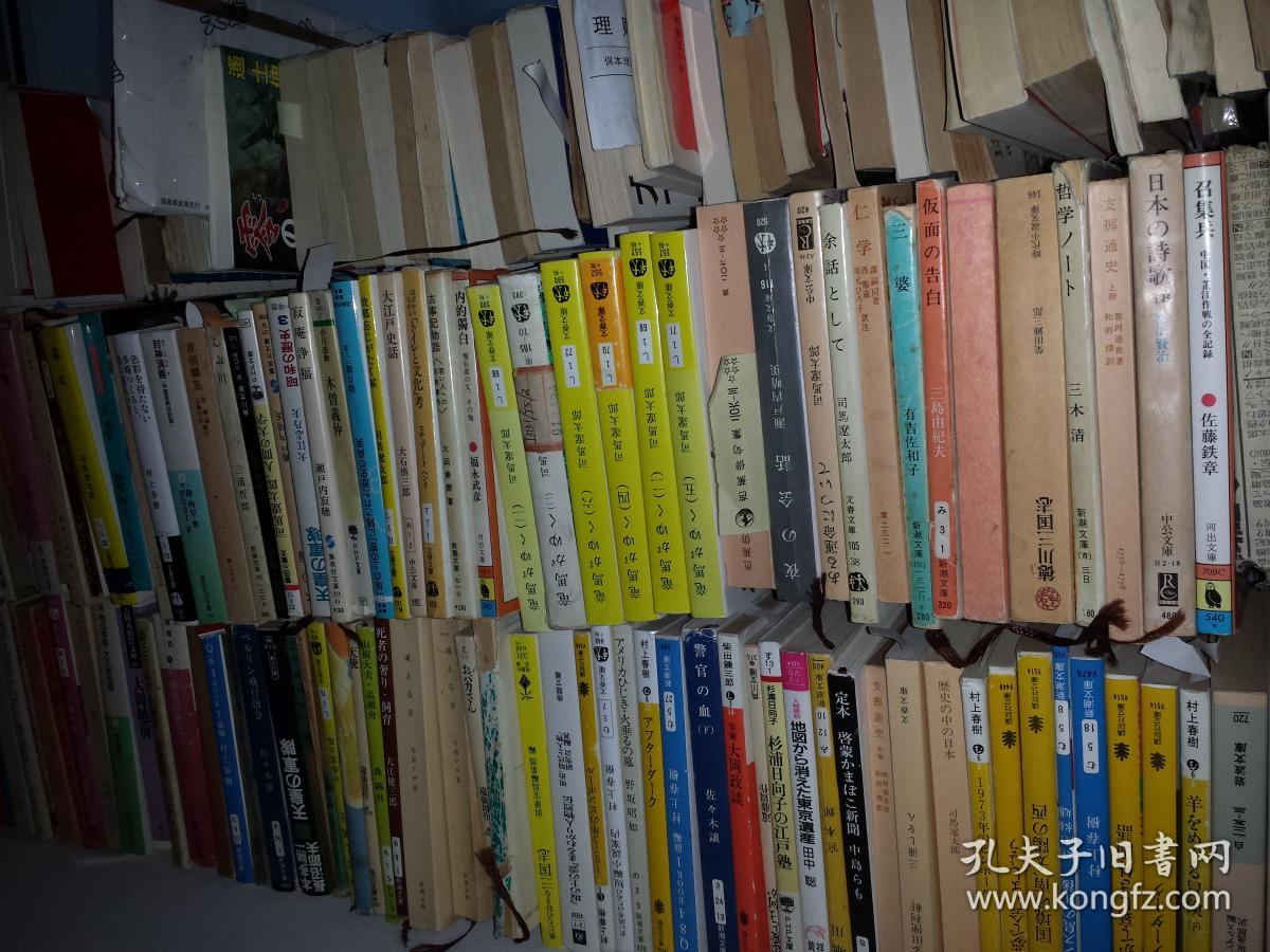 中文英文荷兰HOLLAND导游图 ,。主要城市地