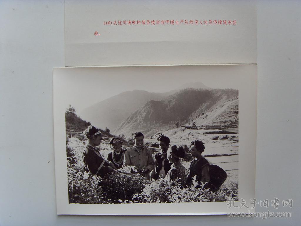 老照片:【※1972年 中国人口最少的民族--僜人,杭州植