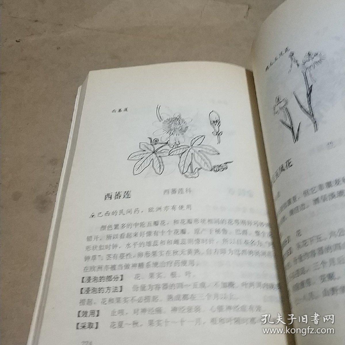 壮阳补肾药方