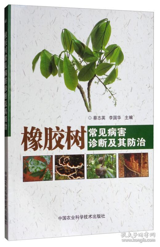 橡胶树种植技术书籍 橡胶树常见病害诊断及其防治