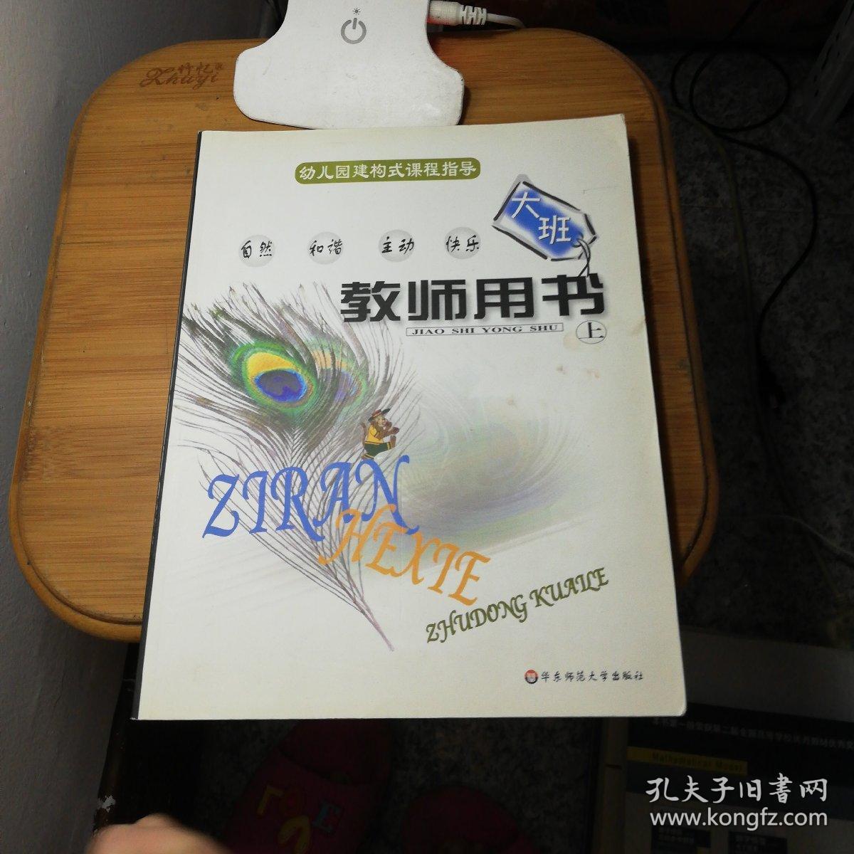 幼儿园建构式课程指导教师用书大班上