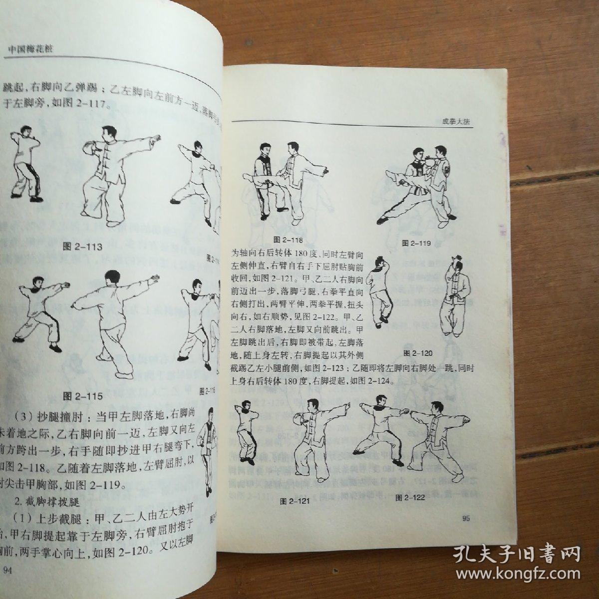 中国梅花桩成拳大法