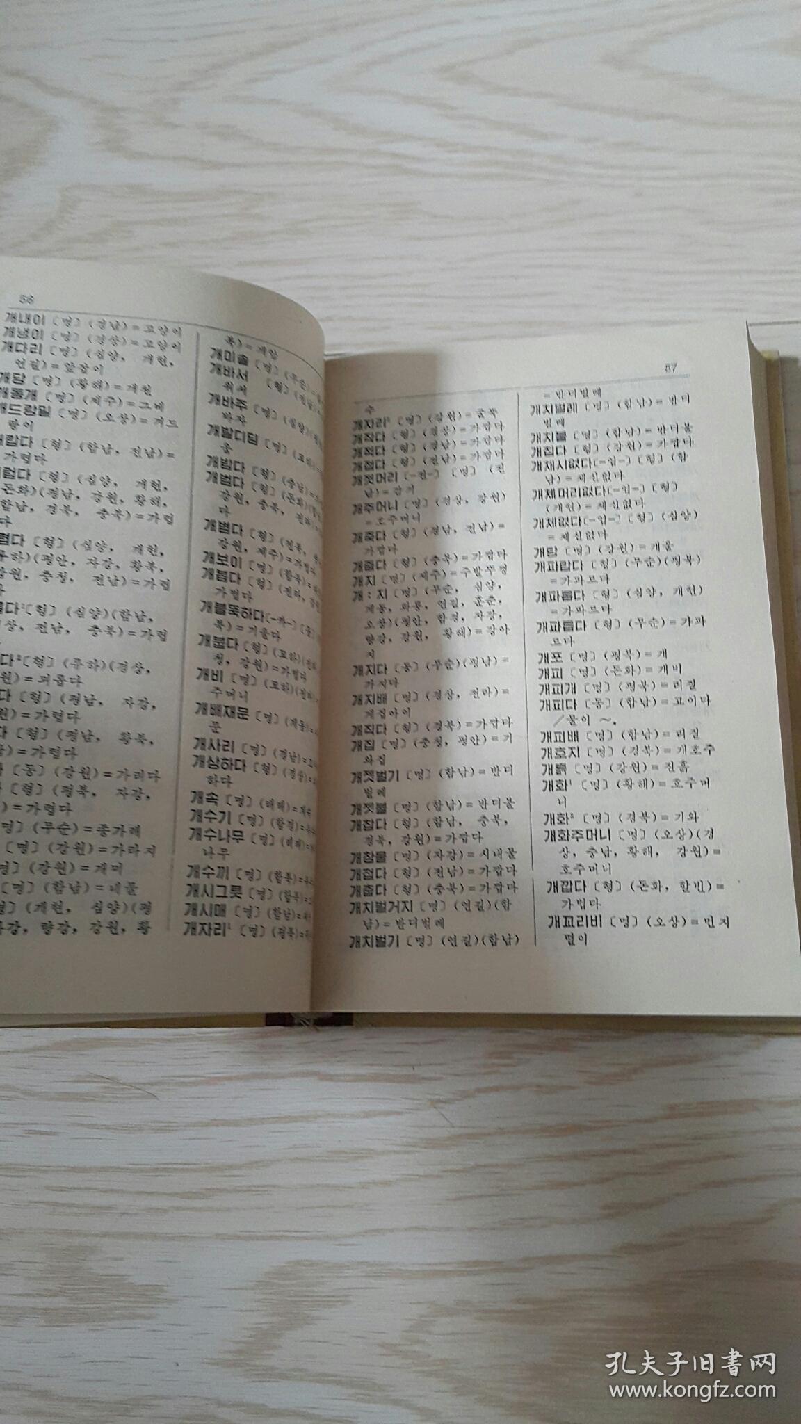 朝鲜语方言词典 朝鲜文 包挂刷
