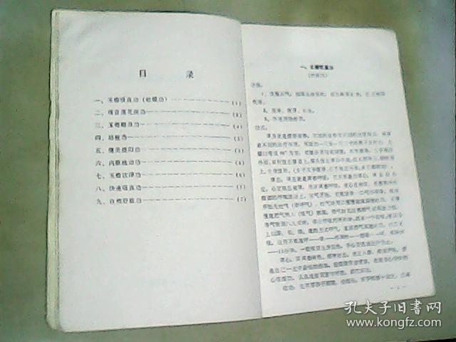 91年原版武术-玉蟾吸真功(蛤蟆功)