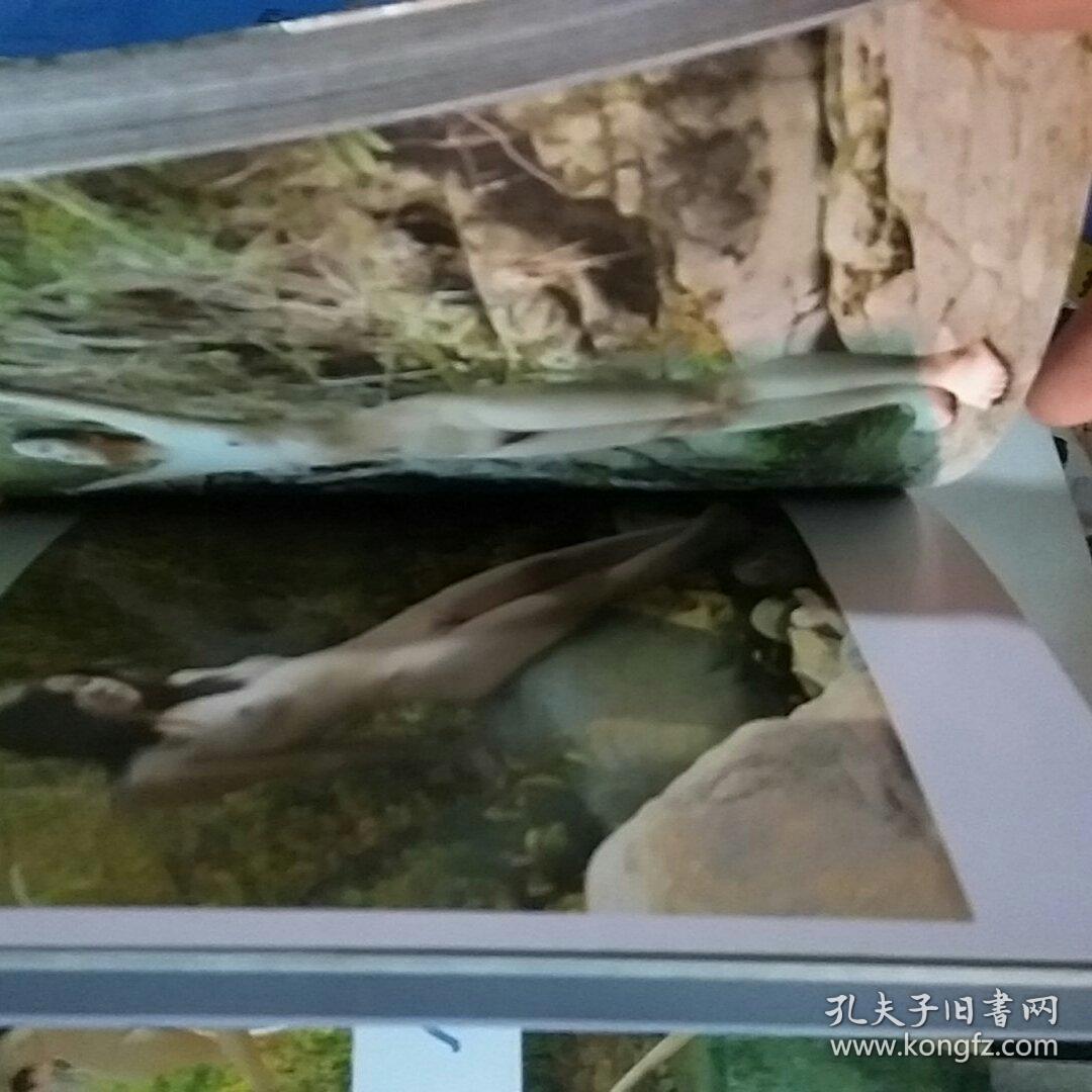 人与自然·山涧篇/人体艺术