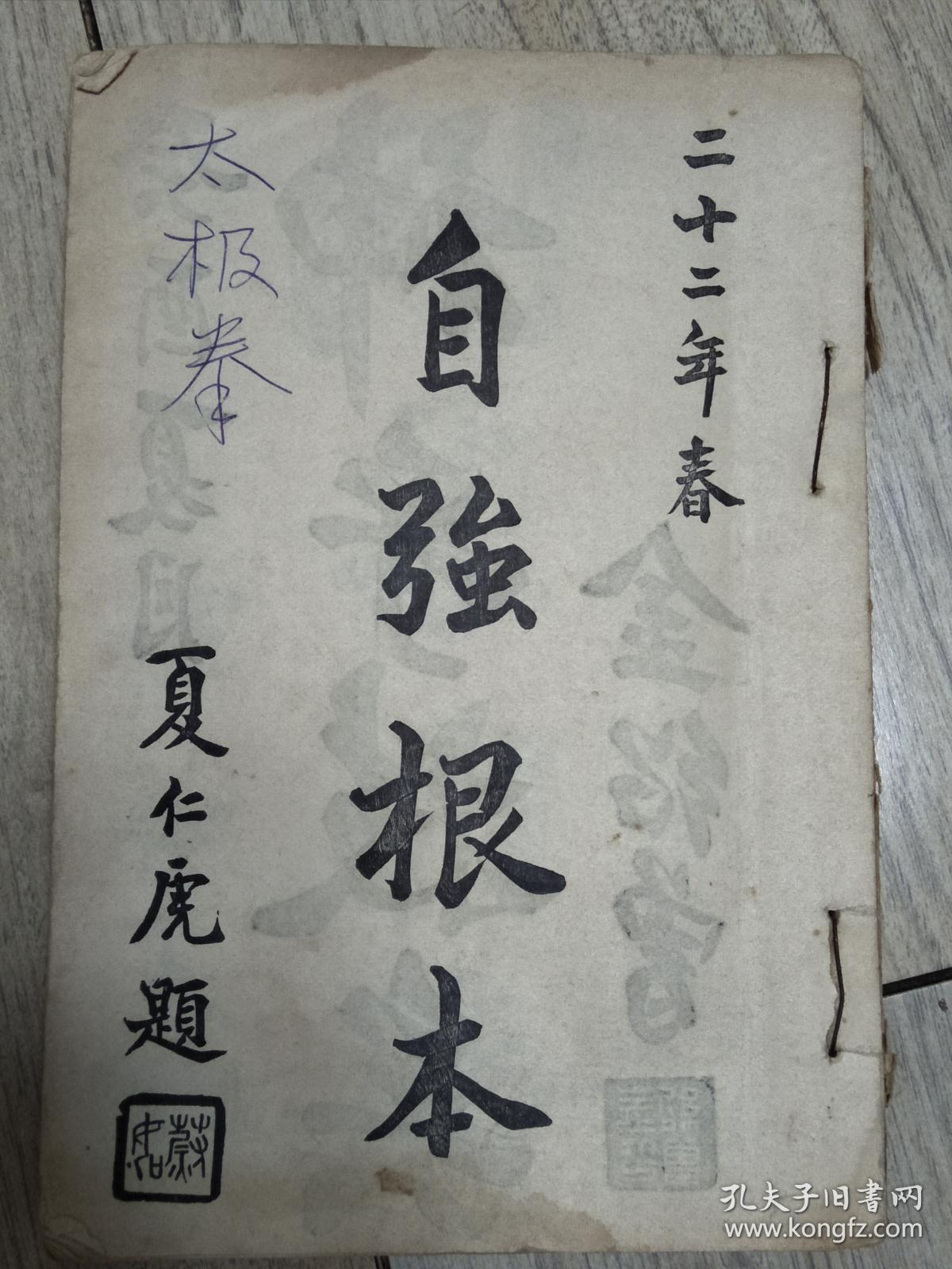 太极拳详解 (王茂斋先生传人彭仁轩著)