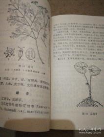 中药怎么学 p4YBAFtEZGWAZ9QHAATE2LuQzhs992_s.jpg