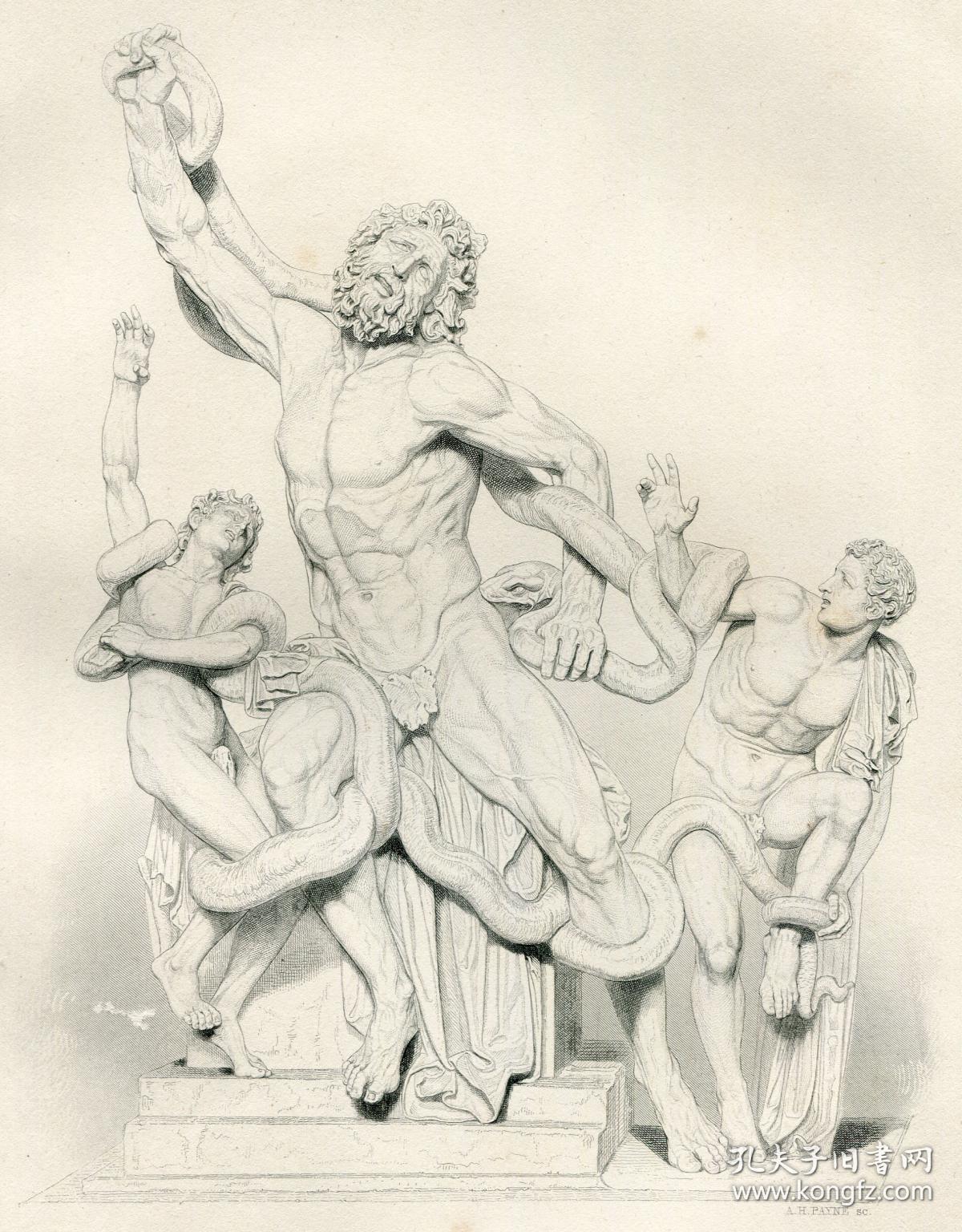 1876年钢版画《拉奥孔》 31×22.5厘米