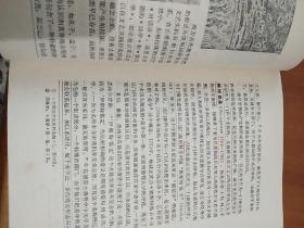 美学原理 什么是美_暴力美学是什么意思(2)