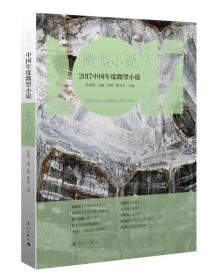 2017中国年度微型小说
