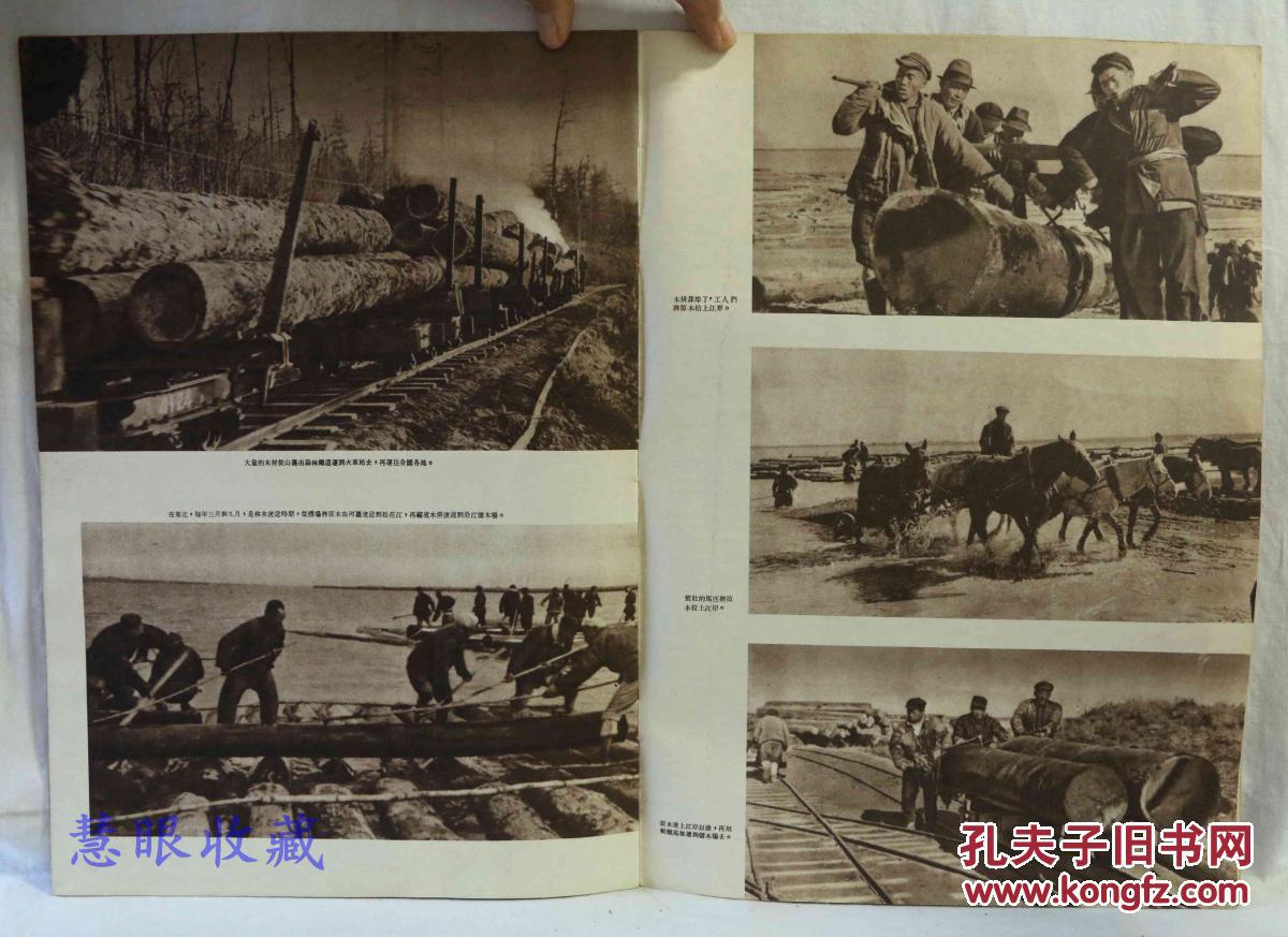 侵略罪行爱国主义生产竞赛一九五一年新年画军属林恒昌之家森林伐木