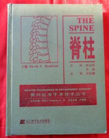脊柱—骨科标准手术技术丛书