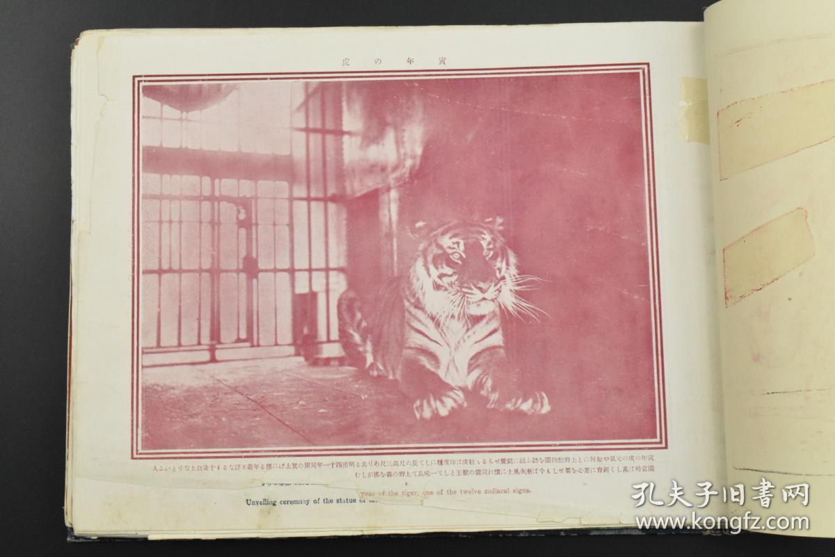 国葬简谱_儿歌简谱(3)