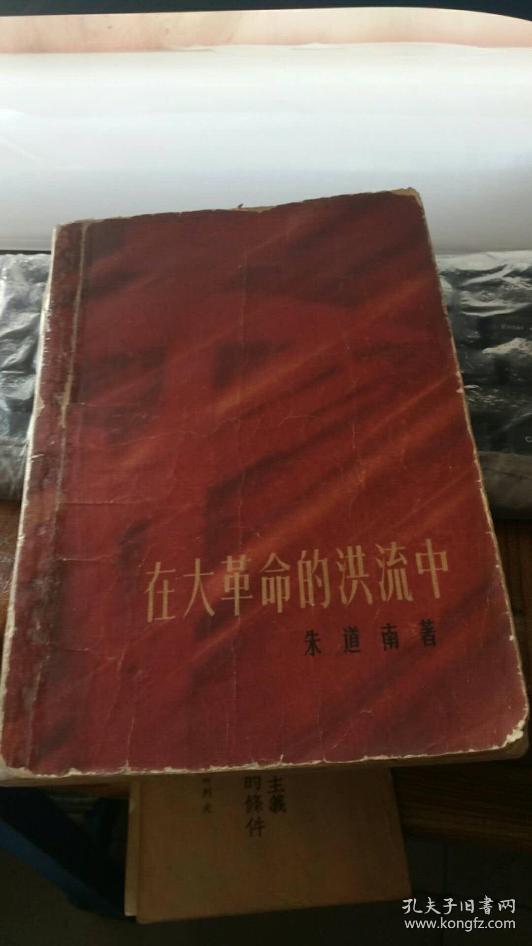 在大革命的洪流中 [大32开 1961年一版一印 彩色插图]