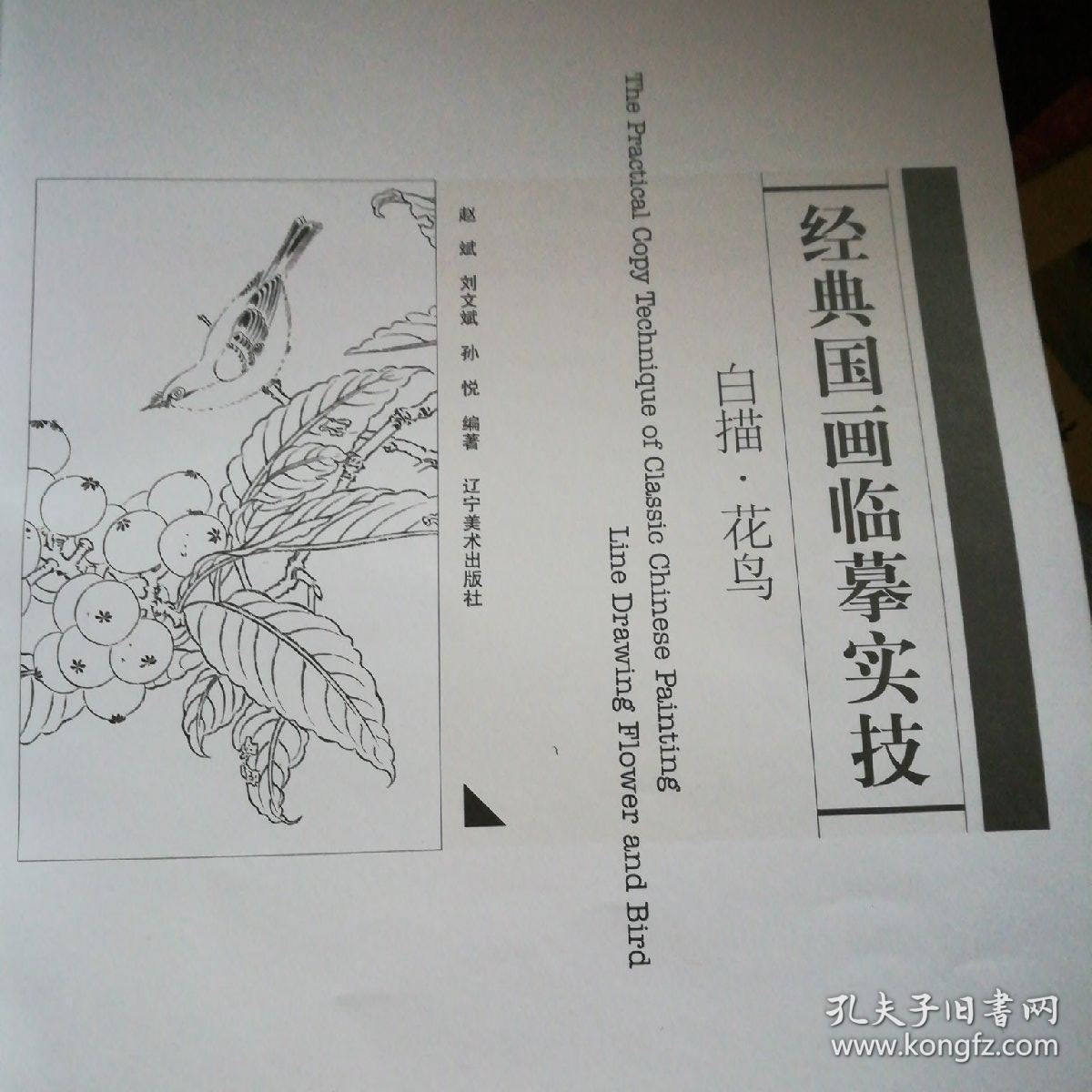 经典国画临摹实技白描61花鸟
