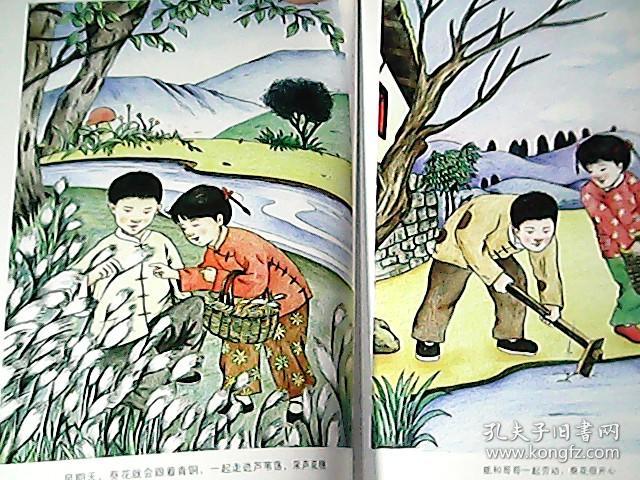 儿童文学名家经典书系 赏读本 青铜葵花