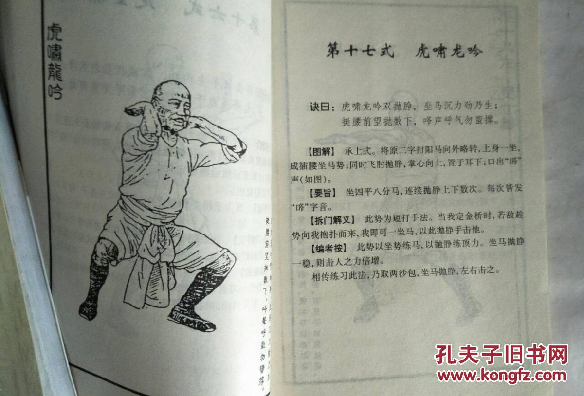 铁桥三真传铁线拳.