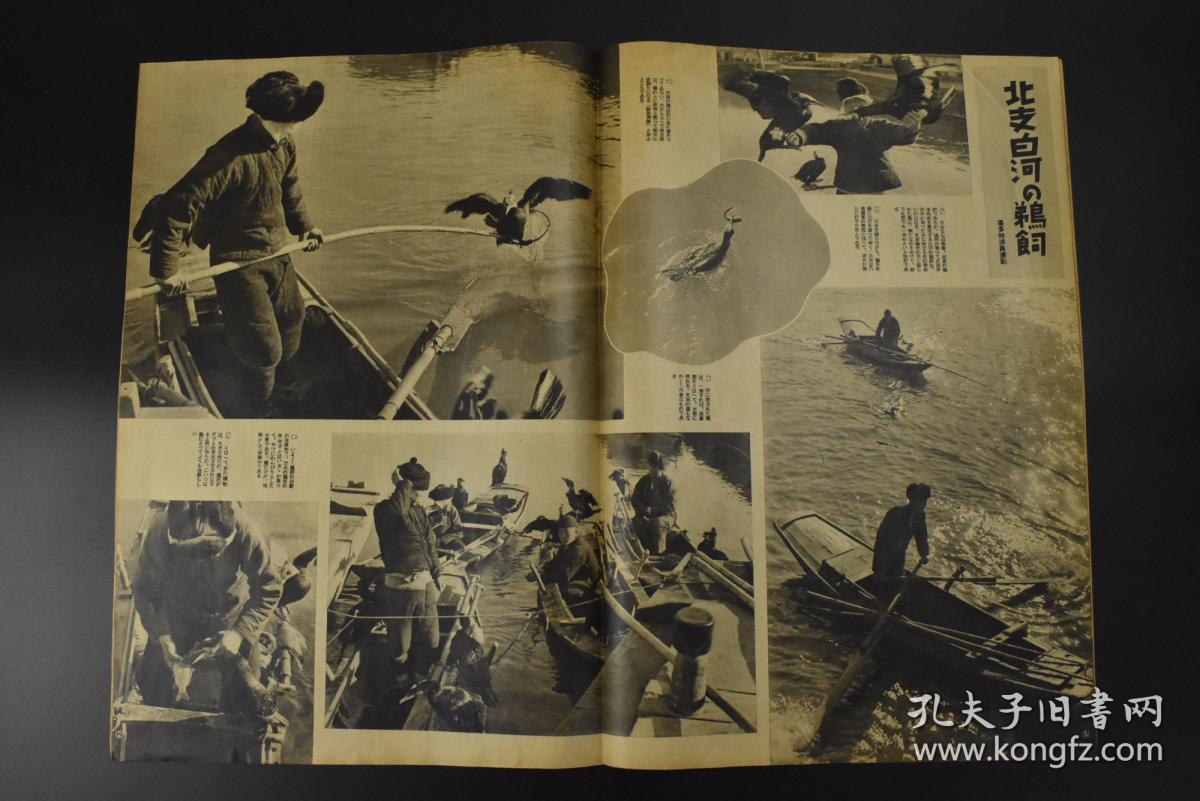 香港九龙vs上海浦东gdp_香港九龙图片(3)