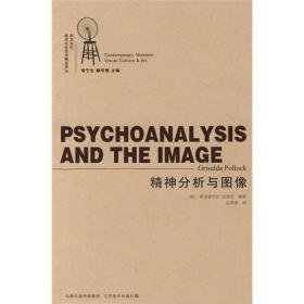 精神分析与图像：西方当代视觉文化艺术精品译丛