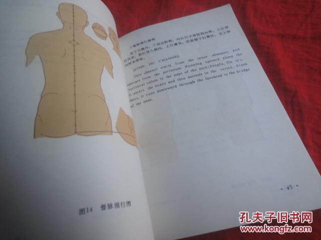 针灸简谱_中医针灸图片(2)