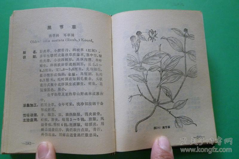 云南中草药【续集】