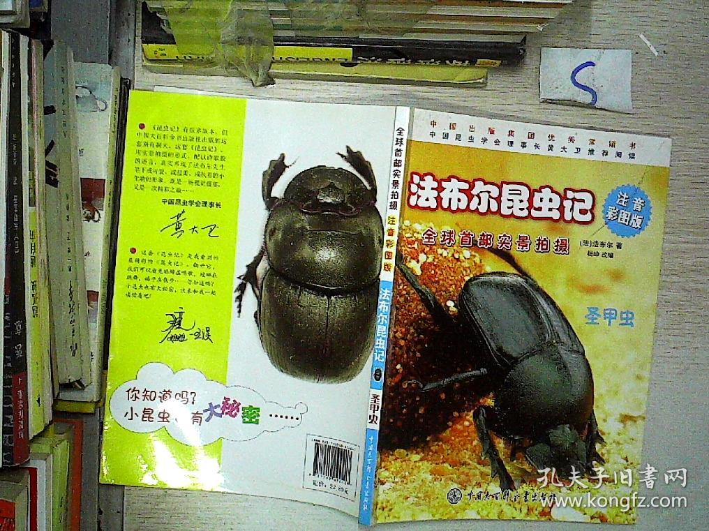 法布尔昆虫记:圣甲虫(注音彩图版).