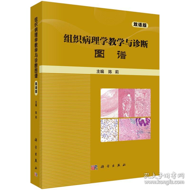 三甲医院体检陈述单Word模板下载
