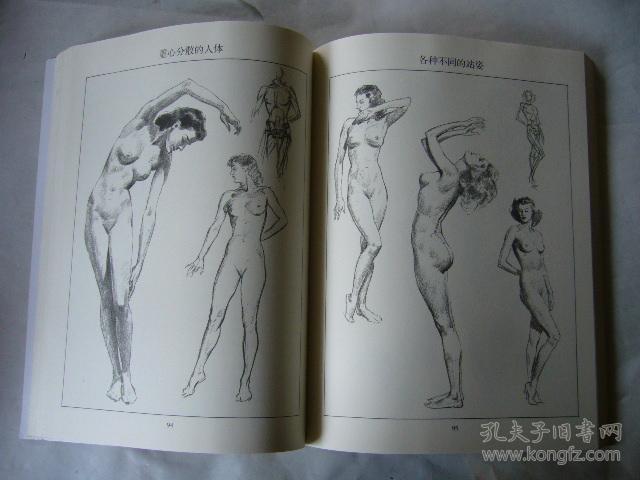 大师的人体素描 路米斯经典美术大课堂