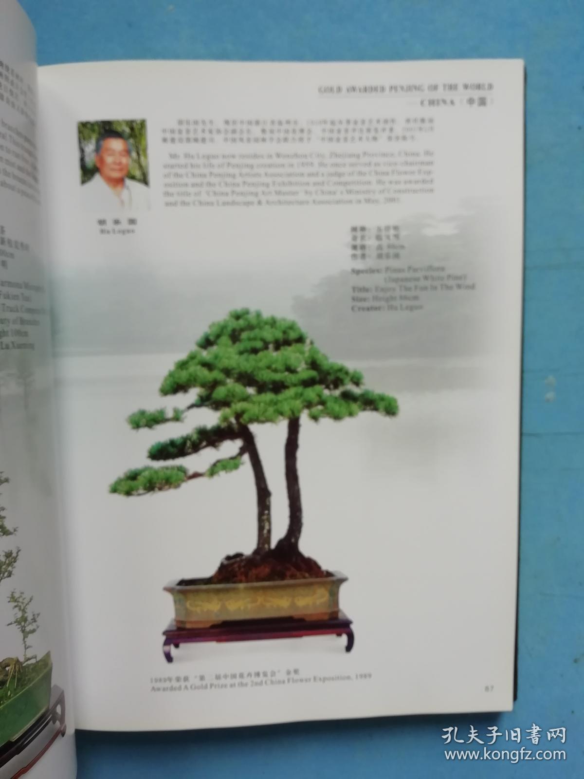 世界盆景金奖集(第二册)