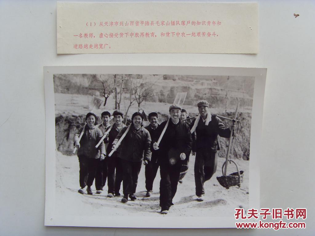 老照片:【※1973年山西省平陆县毛家山,天津来的下乡知青去田间劳作