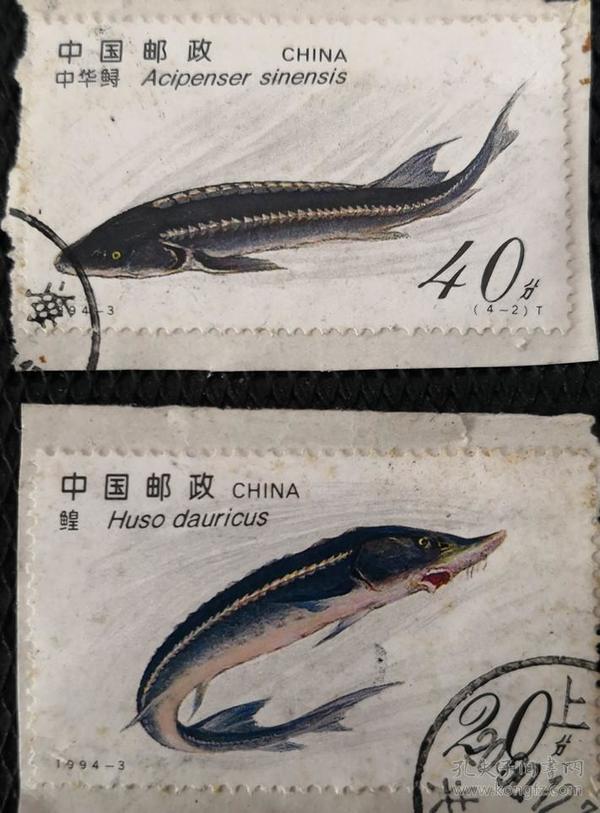 信销票邮票 1994年 中华鲟邮票 信销2枚剪片