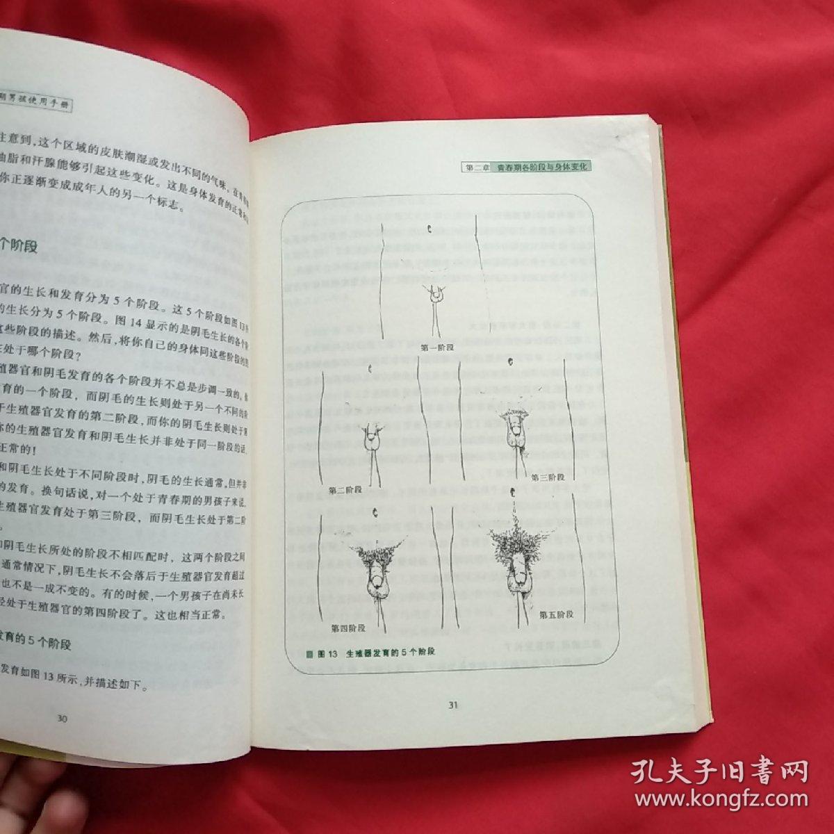 身体的秘密(男生卷)