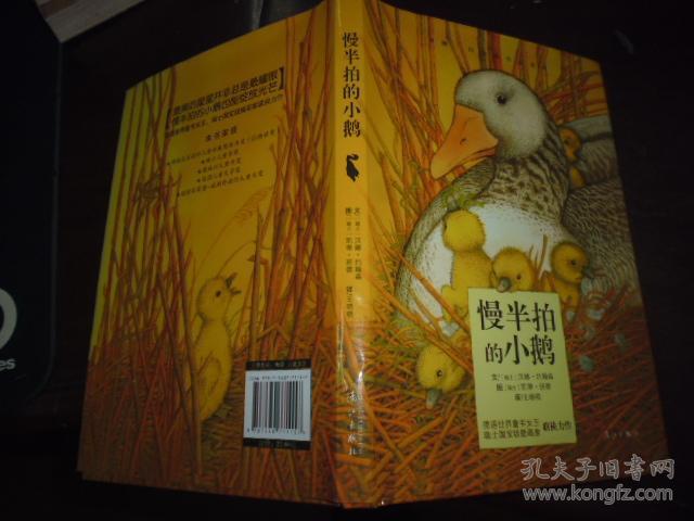 慢半拍的小鹅
