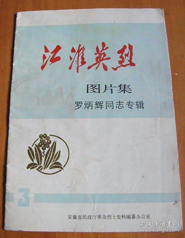 江淮英烈图片集-罗炳辉同志专辑
