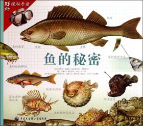 梦见鱼有什么兆头，探索梦境中的神秘寓意与心灵启示