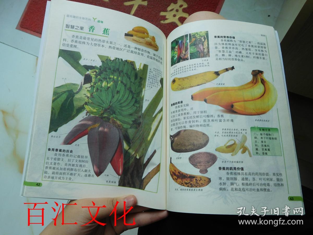 最有趣的生物百科-植物(图解少儿版)