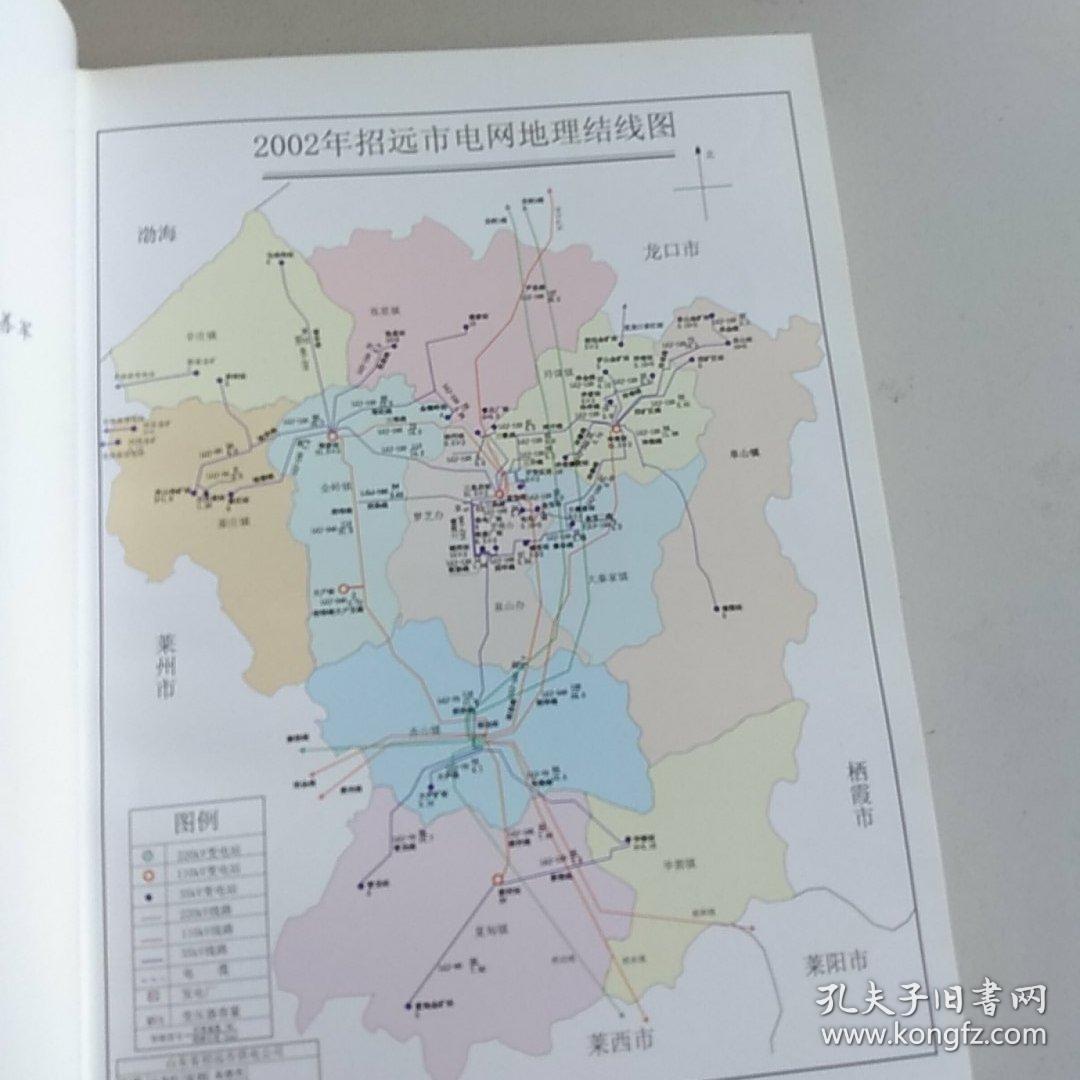 招远电业志(仅印一千册)