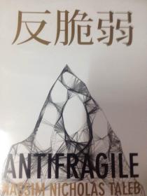 反脆弱 antifragile 中文版