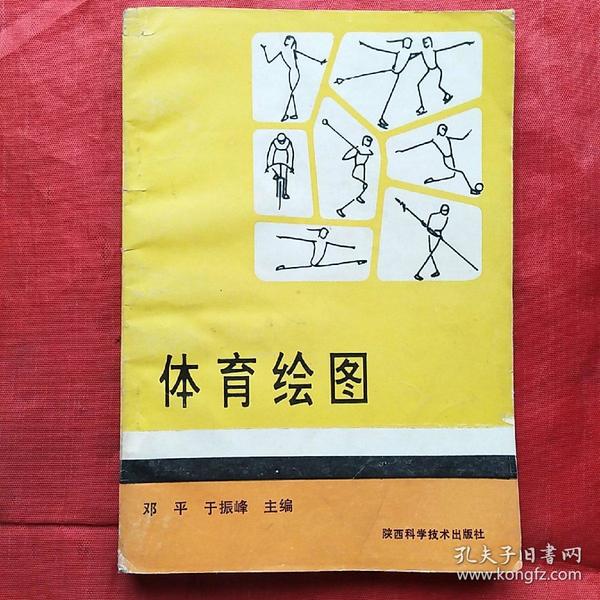 体育绘图