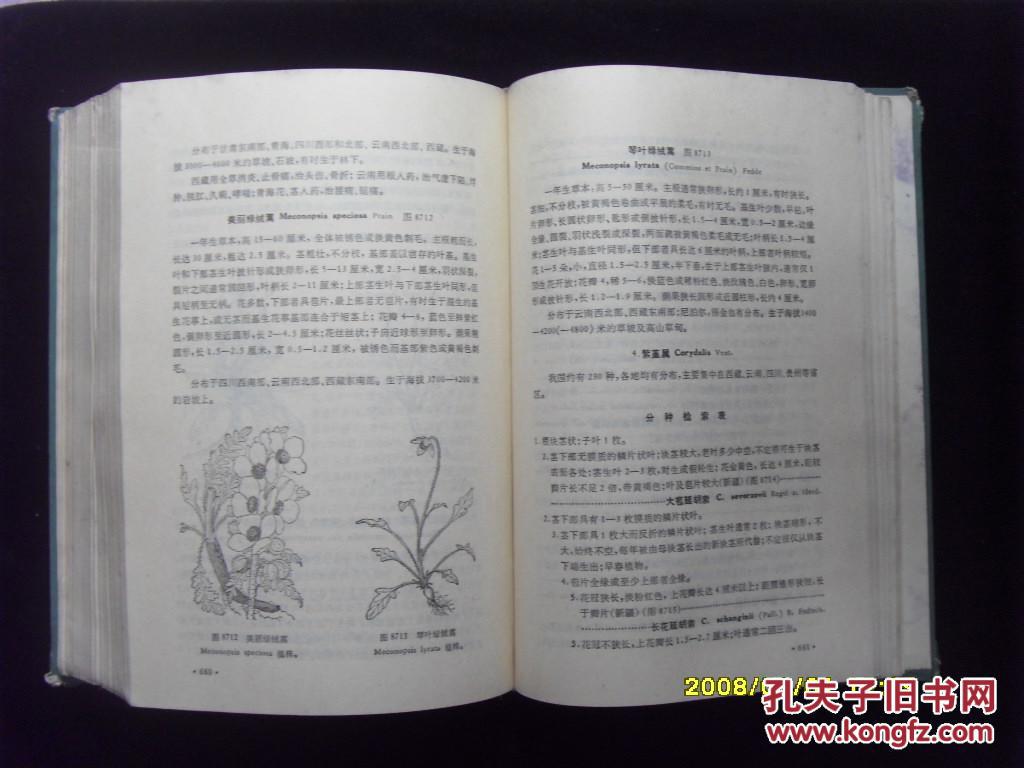 中国高等植物图鉴 补编第一册 (内页上端有受潮的印迹