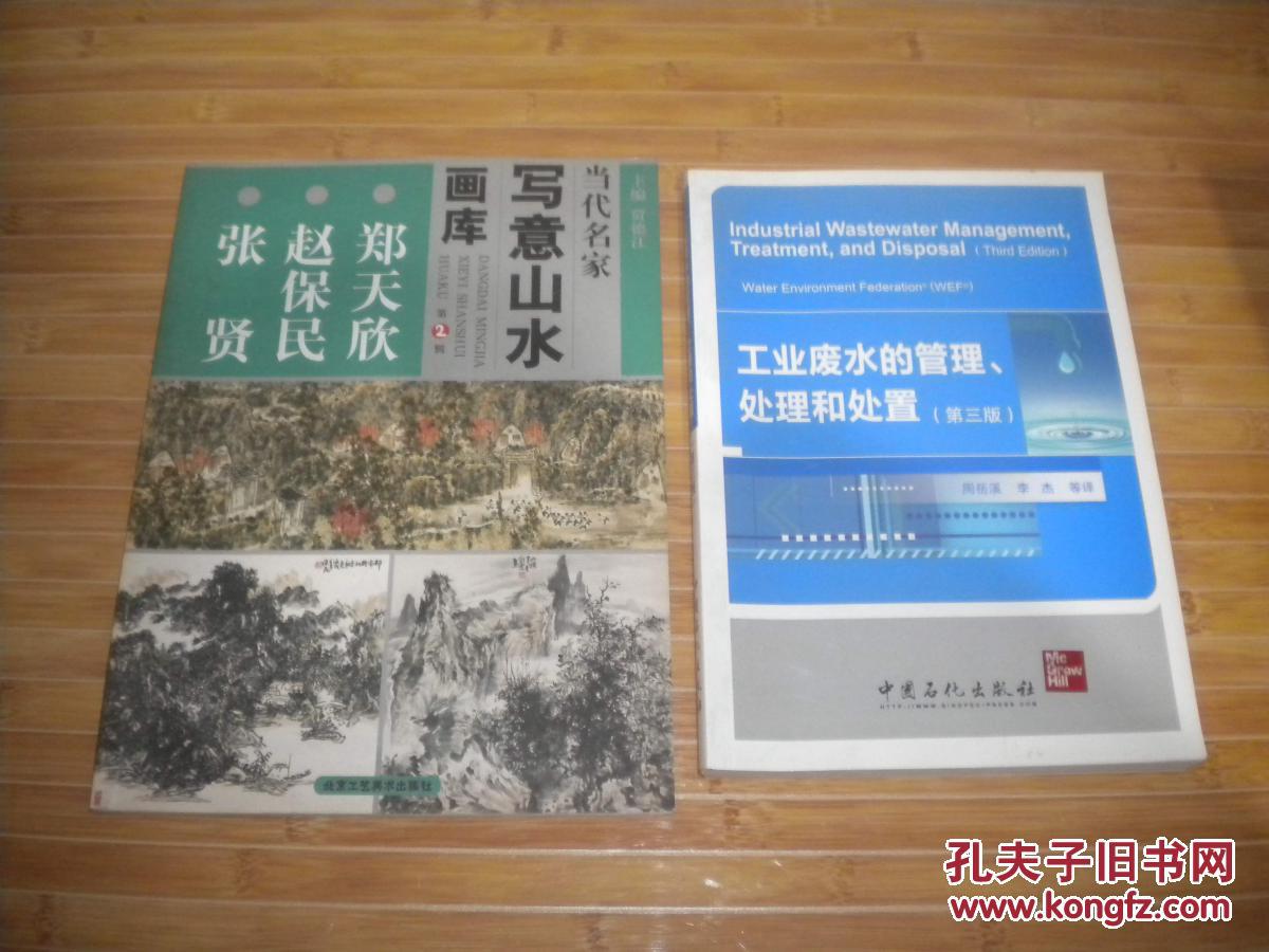 张贤 赵保民 郑天欣 当代名家写意山水画库