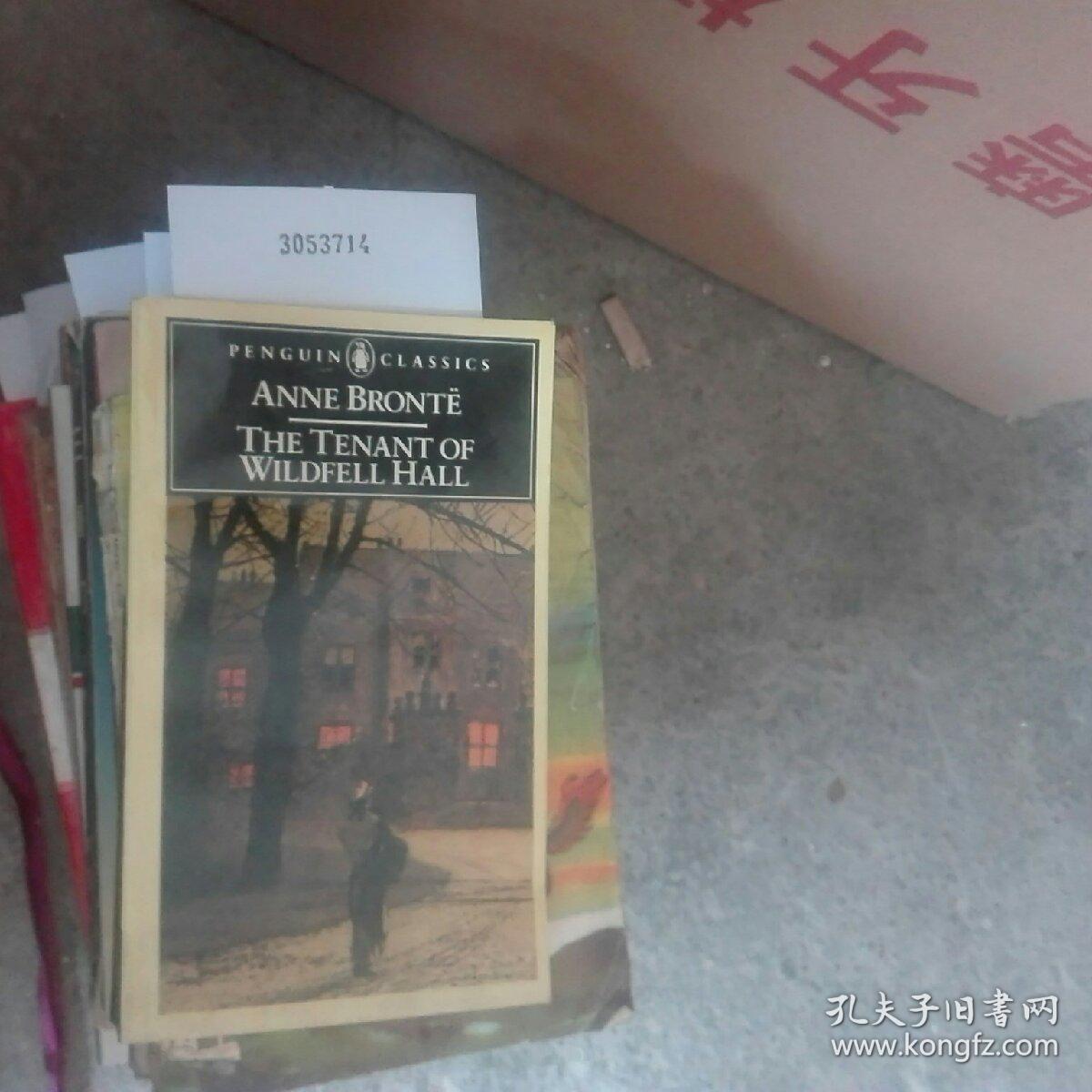 《维尔德费尔庄园的主人》(英文版)_anne bronte 安妮